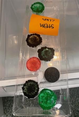 colorful crystals starting to grow in a plastic tray